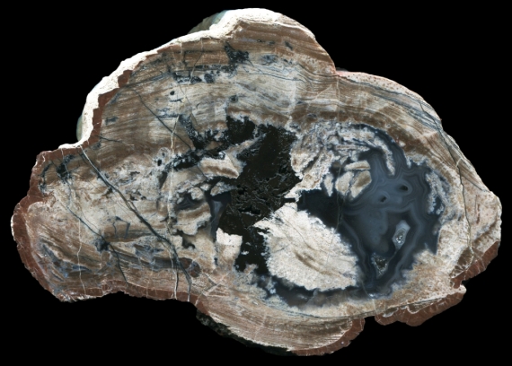 A First Gate thunderegg showing some nice flowbanding. 
